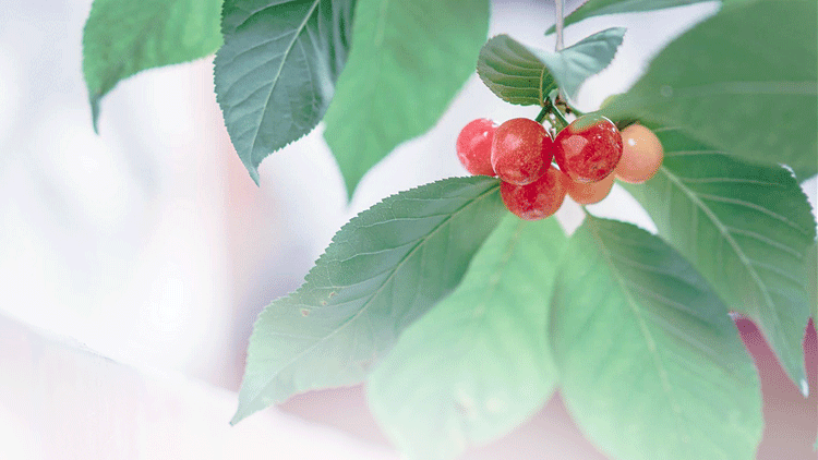 1588644906424066.png 微信圖片_20200505101026.png