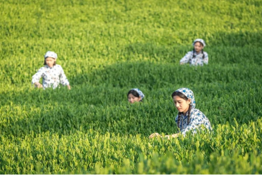 1681970547347507.png image.png